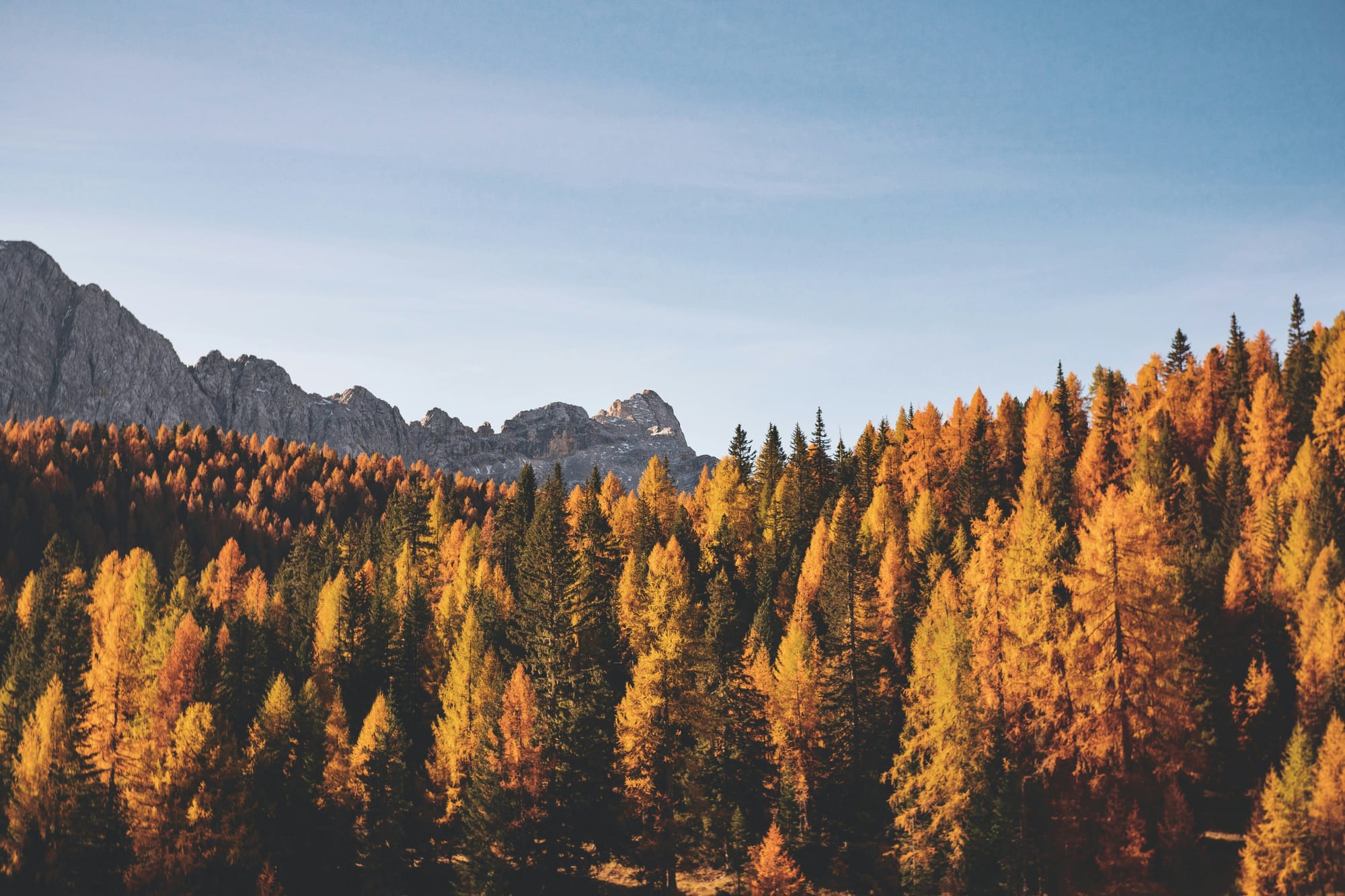 The Best Time to Visit Mongolia: Month-by-Month Guide