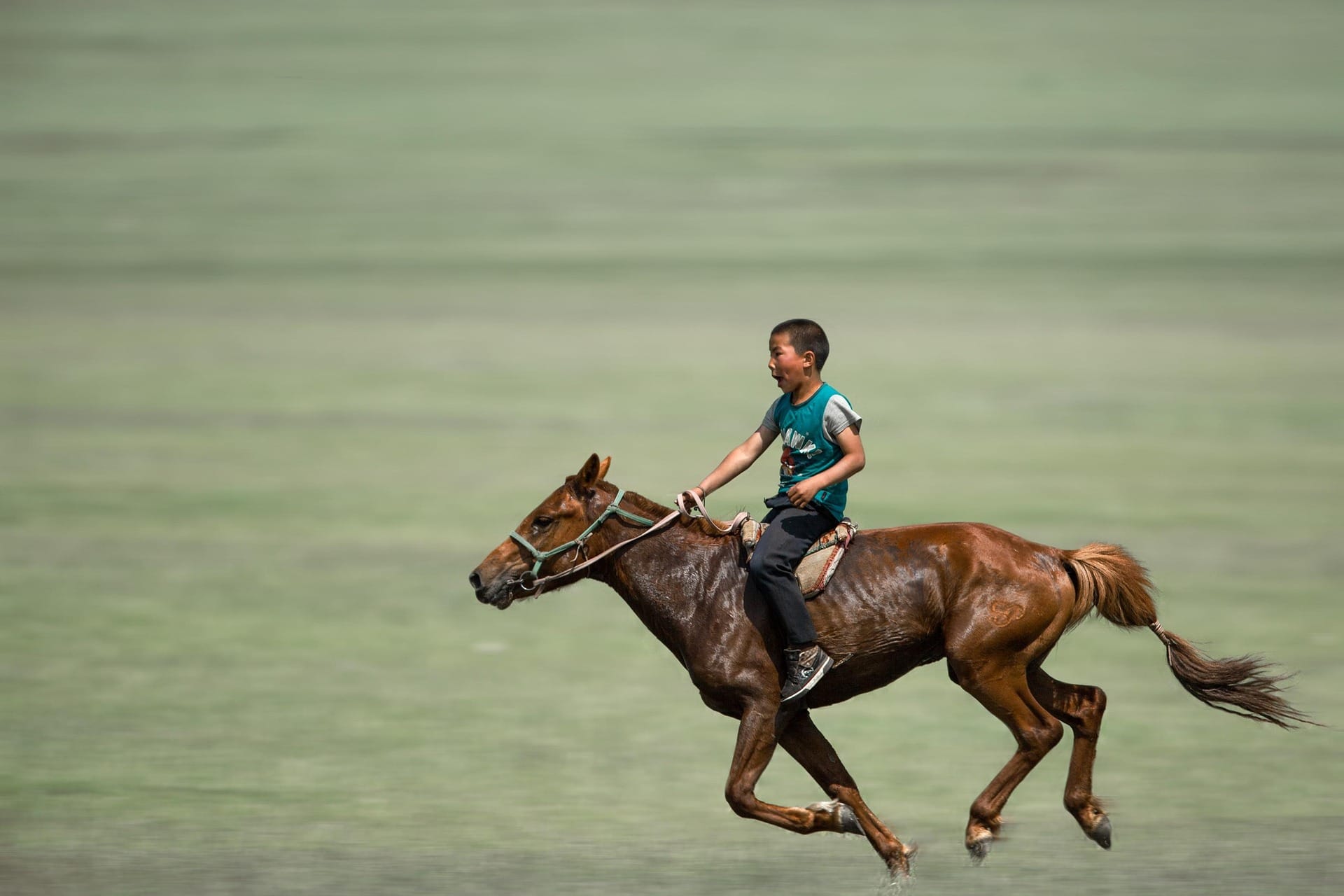 The Best Time to Visit Mongolia: Month-by-Month Guide