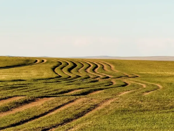 Driving in Mongolia: Roads, GPS, Fuel & Off-Road Realities